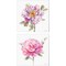 Obviously Pink A by Lisa Audit 14" x 14" Canvas Wall Art (Set of 2)